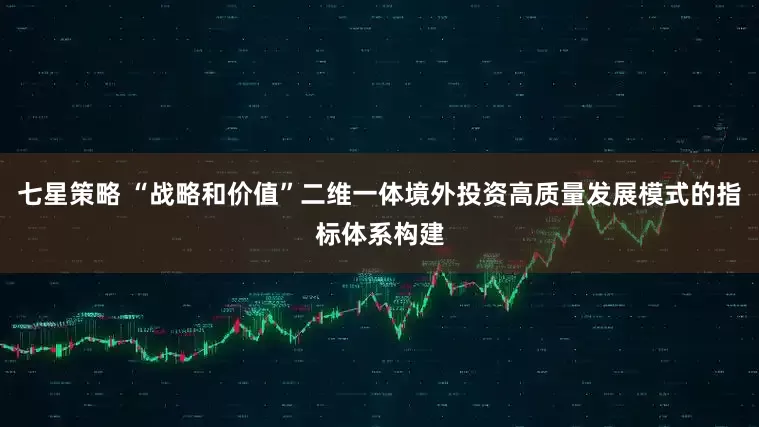 七星策略 “战略和价值”二维一体境外投资高质量发展模式的指标体系构建