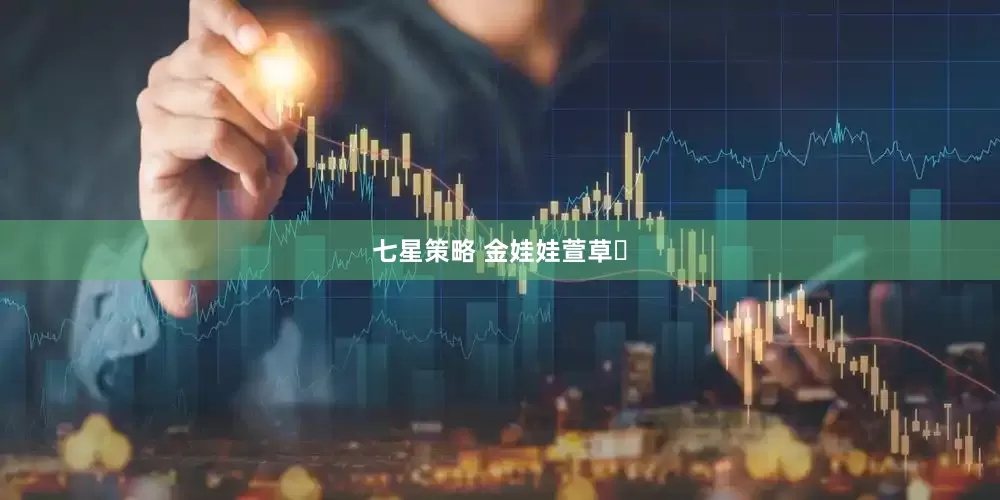 七星策略 金娃娃萱草‌