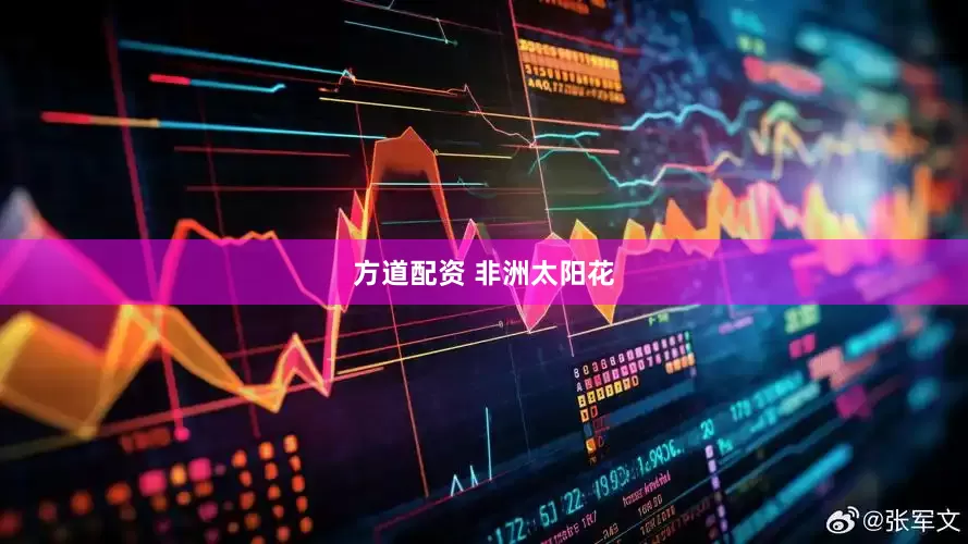 方道配资 非洲太阳花